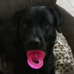 Nik Carter - Facebook
