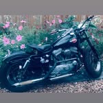 Nik Davies - @shite_and_corruption - Instagram