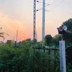 Nik Desai - @nikdesai710 - Instagram