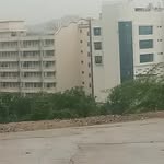 Nik Patel - @nikpatel4375 - Instagram