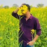 Nikhil Rathore - @nikhil_pious_rathore - Instagram