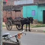 @nikhilsmith5233 - Instagram