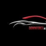 Niki Arnold - @realdownforcedetailing - Instagram