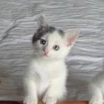 Niki Parker - @nikiparker2004 - Instagram