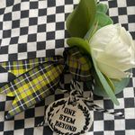 Niki Stevens - @onestembeyond - Instagram