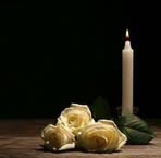 Nikita Ford Gaban - Facebook