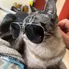 Nikita King - @nikitaking2 - TikTok