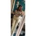 Nikita Mitchell - Facebook