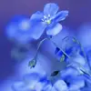 Nikita ware - @nikita14981 - TikTok