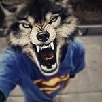 Никита Кирпичев - @_nikita_wolf_ - Instagram