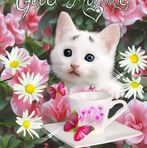 Nikita Wolf - Facebook