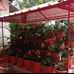 Nikitha Jagadish - Facebook