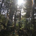 Nikki Abbott - @nikkijill99 - Instagram