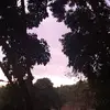 nikki - @nikkiardion131 - TikTok