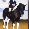 Nikki - @nikki_ashcroft - TikTok