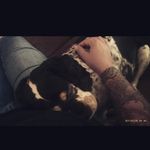 Nikki Bachman - @bachmannikki - Instagram