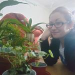 Nikki Barber - @flatfulloffoliage - Instagram