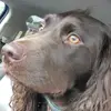 Nikki Bearden - @nikkibearden5 - TikTok