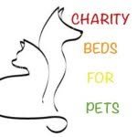 Nikki Benedict - @charitybedsforpets - Instagram