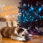 Nikki Benedict OConnell - @auntnik618 - Instagram