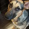 nikki - @nikkiboone54 - TikTok