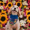 Niki Borges - @nikiborges1 - TikTok