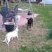 Nikki Browne - Facebook