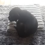 Nikki Browne - @nikki.b25 - Instagram
