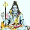 Shubha_shetty - @nikkie.cage - TikTok