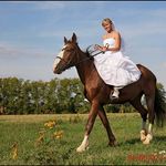 nikki carson - @carson2357dl - Instagram