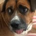 Nikki Craig - Facebook