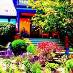 Nikki Dalton - @kndlandscapedesigner_ - Instagram