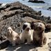 Nikki Fallon - Facebook