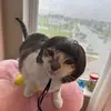 Nikki - @nikkifarrah3 - TikTok