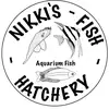 Nikki’s Fish Hatchery - @nikkisfishhatchery - TikTok