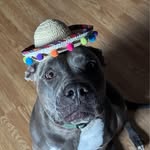 Nikki Flores - @nikki.flores.33 - Instagram
