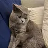 Nikki Flores - @noritheblue - TikTok