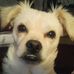 Nikki Giddens - Facebook