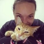 Nikki Glazer - @glazernikki - Instagram