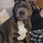 Nikki Goddard - @nikki.goddard.988 - Instagram