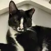 Nikki Hatcher - @thatguymax21 - TikTok