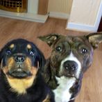 Nikki Henson - Facebook