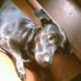 Nikki High - Facebook
