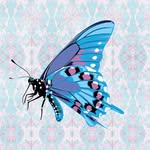 zespół 🦋 HIGHFLYERS 🦋 - @nikki.highflyers - Instagram