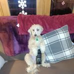 Nikki Jack - Facebook
