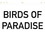 Nikki Jayne - @birdsofparadisezine - Instagram