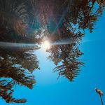 Nikki Langford - @langfords - Instagram
