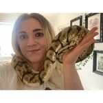 Nikki Maher Dalgarno🦎 - @wildthangs_ - Instagram
