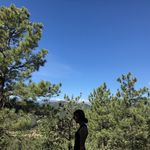 Nikki Mann - @nikkim17 - Instagram