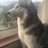 TIk tok mum 😂 - @nikkimcgrath_1 - TikTok